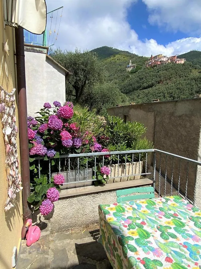Le Case Della Lizza - Casa Blu Levanto Italy